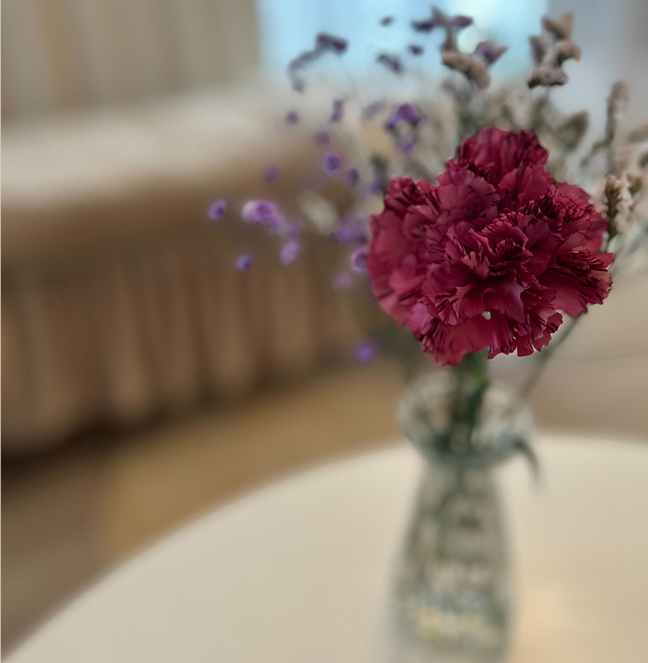 花の写真